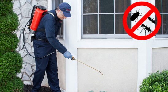 Oğuzlar Dezenfeksiyon böcek ilaçlama ve haşere kontrolü — ilaclama-tr.com